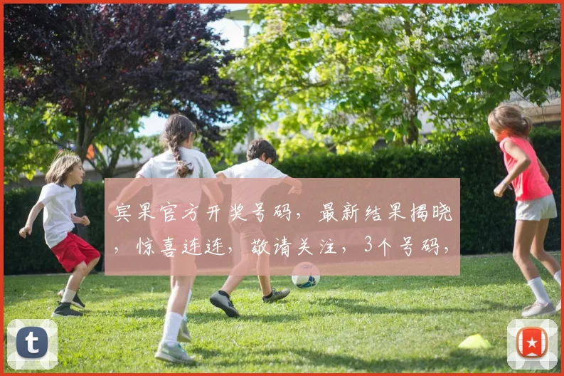 宾果官方开奖号码，最新结果揭晓，惊喜连连，敬请关注，3个号码，3个幸运