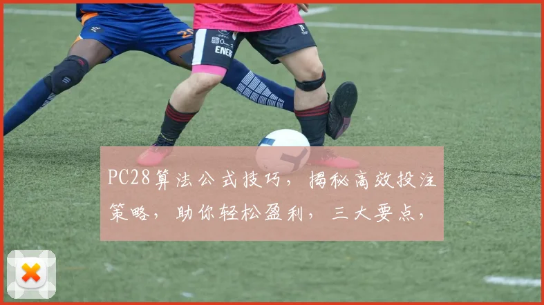 PC28算法公式技巧，揭秘高效投注策略，助你轻松盈利，三大要点，不容错过