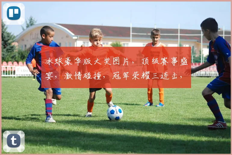 冰球豪华版大奖图片，顶级赛事盛宴，激情碰撞，冠军荣耀三连击，抢眼视觉盛宴