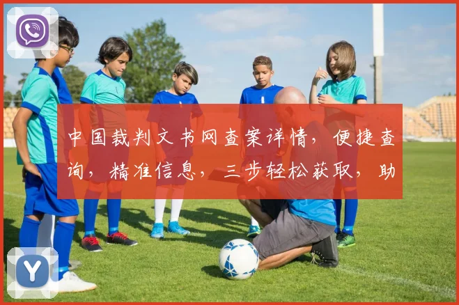 中国裁判文书网查案详情，便捷查询，精准信息，三步轻松获取，助力法律研究。