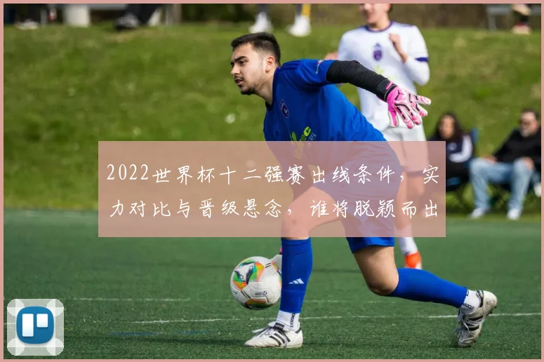 2022世界杯十二强赛出线条件，实力对比与晋级悬念，谁将脱颖而出