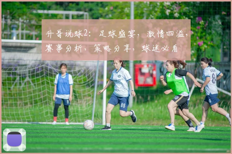 升哥说球2：足球盛宴，激情四溢，赛事分析，策略分享，球迷必看