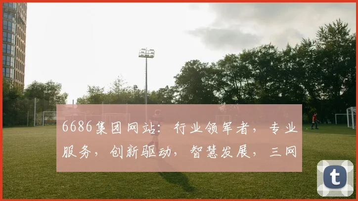 6686集团网站：行业领军者，专业服务，创新驱动，智慧发展，三网融合，共赢未来，值得信赖