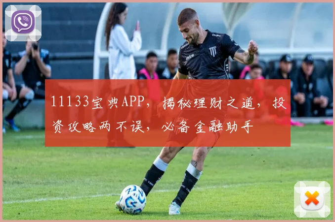 11133宝典APP，揭秘理财之道，投资攻略两不误，必备金融助手